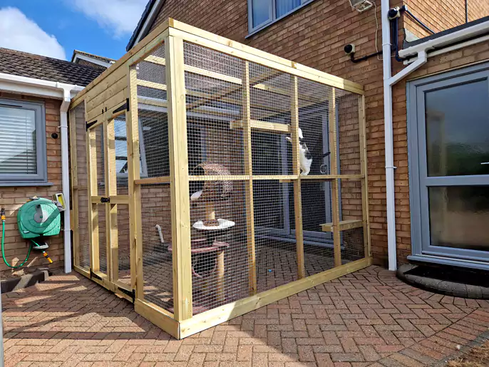 catio pet enclosure
